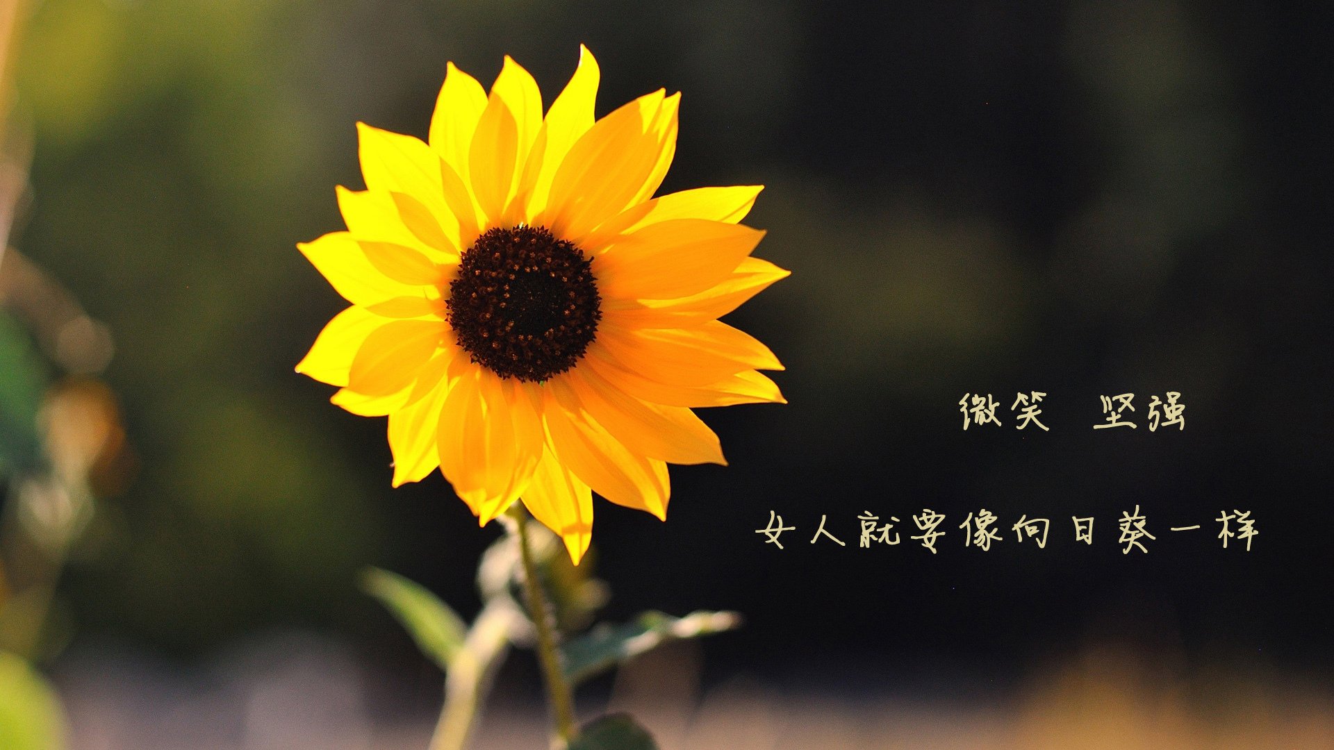 乐鱼体育官网下载-体育新闻中心构建青少年体育媒介素养测评系统，体育媒体平台