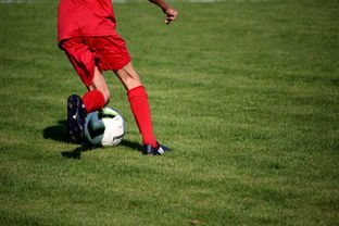 乐鱼app-内线球员在快节奏体系下的功能性演变，内线球员的主要作用