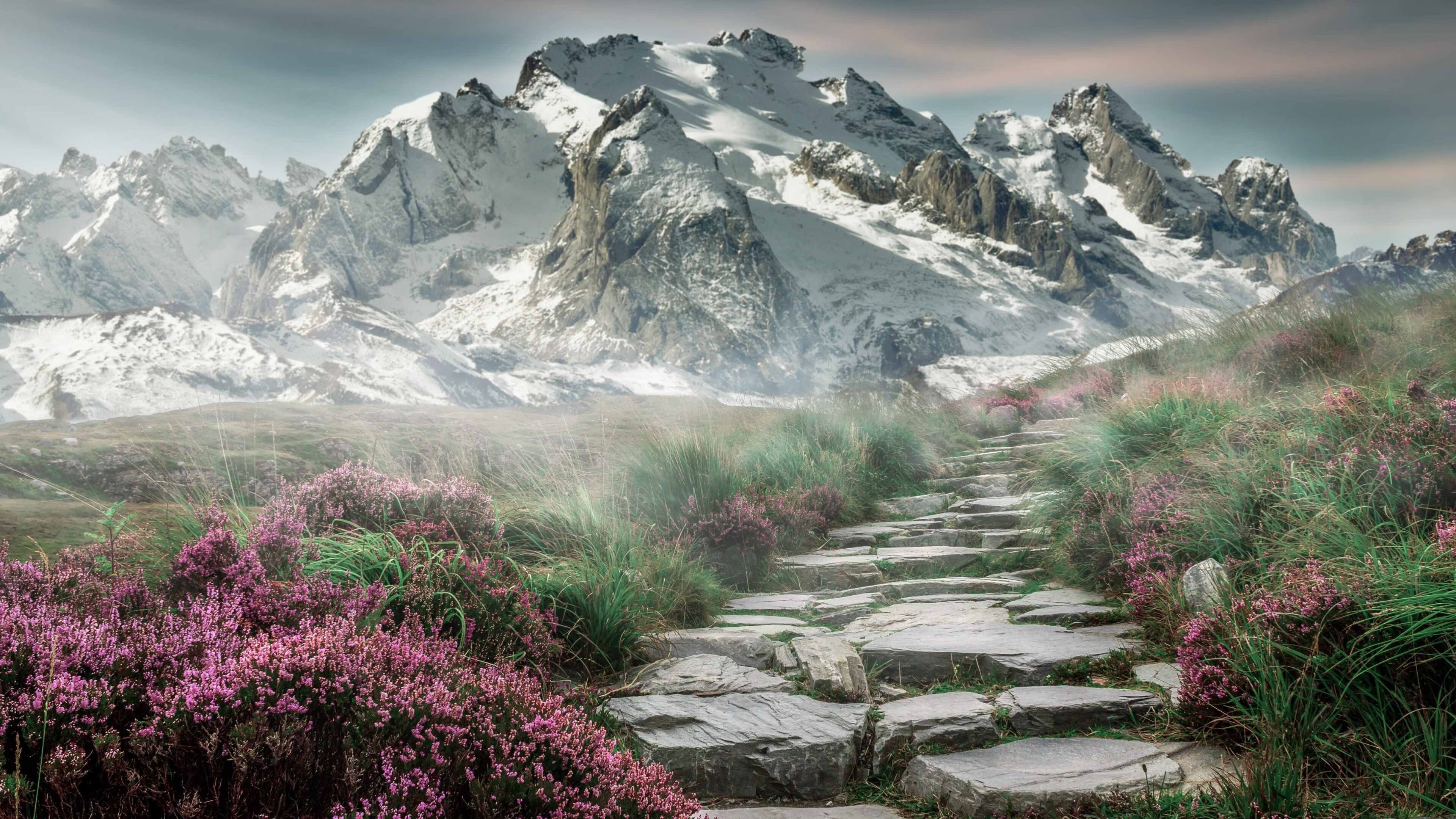 中国女排公布最新技术统计数据，中国女排业绩