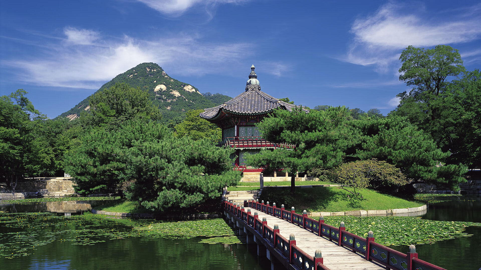 中国女排公布最新技术统计数据，中国女排业绩